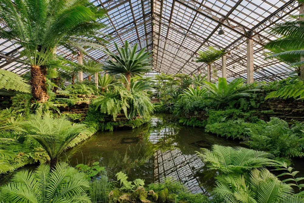 Garfield park conservatory